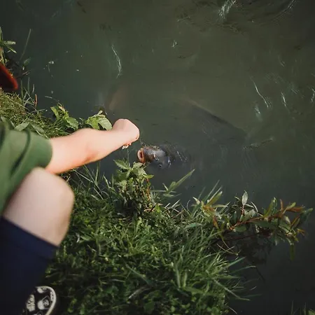 Semesterbostad Nad Rozlewiskiem