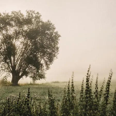 Nad Rozlewiskiem קודובה-זדרוי
