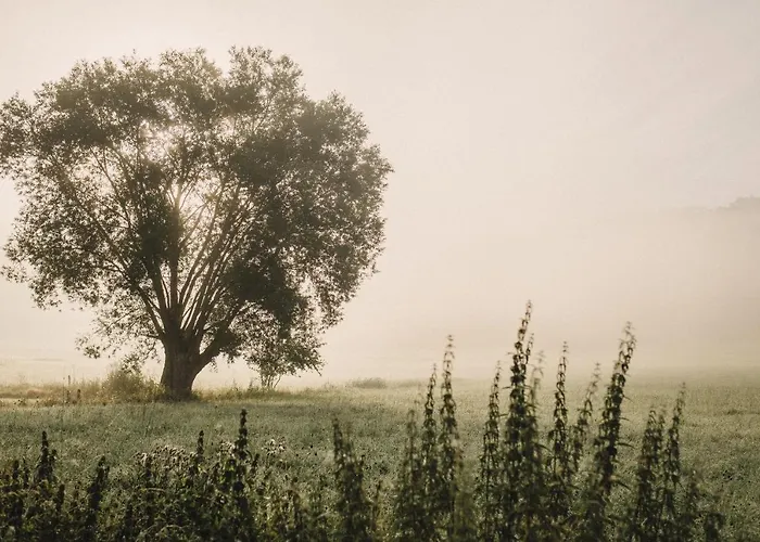 Nad Rozlewiskiem Kudowa-Zdrój