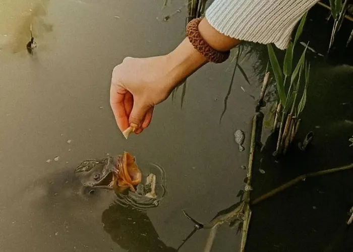 Дом отдыха Nad Rozlewiskiem *